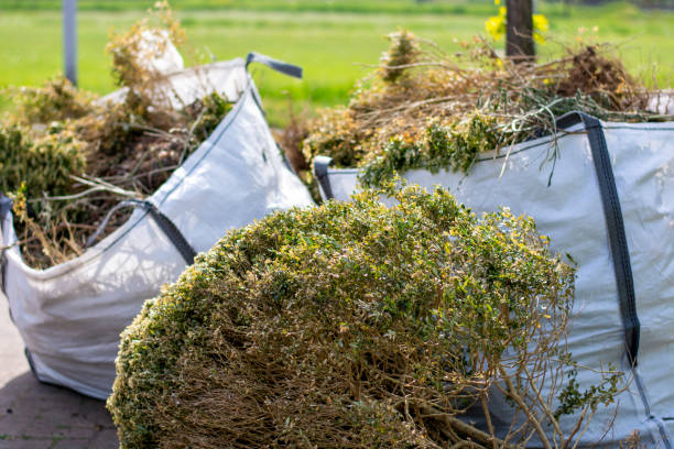 Reliable Farm Loop, AK Junk Removal Services Solutions